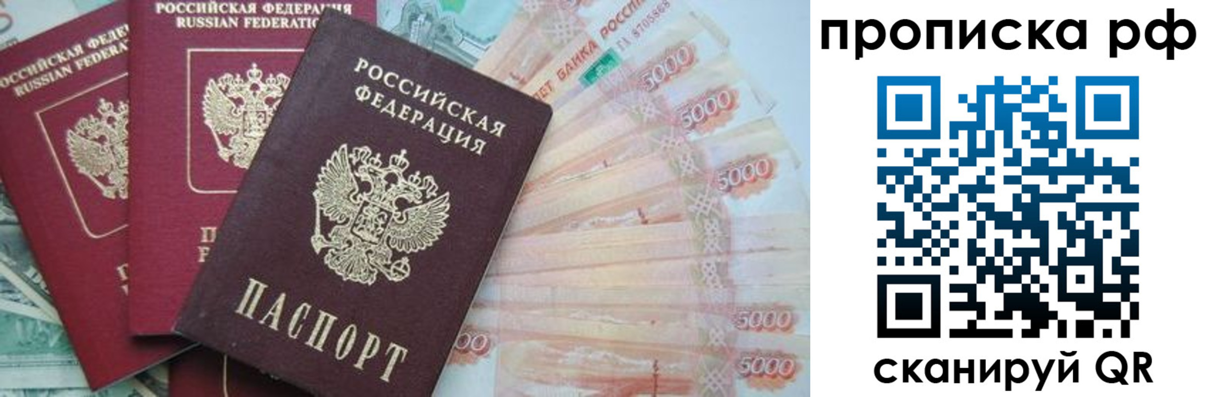 временная регистрация купить в Дмитрове