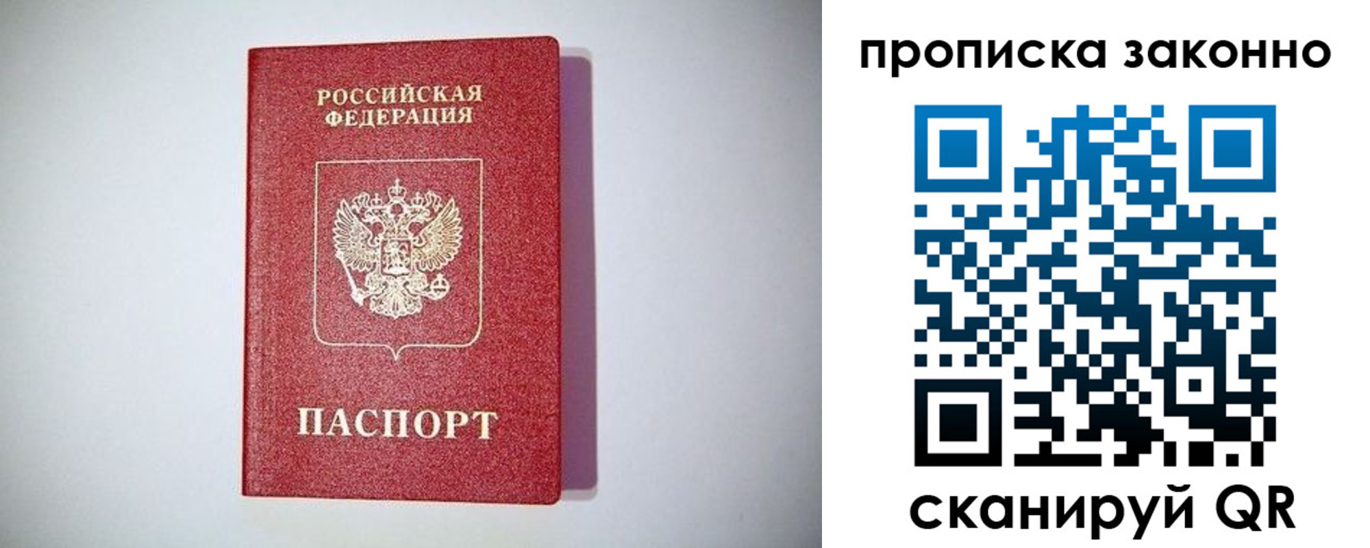прописка для школы в Дмитрове