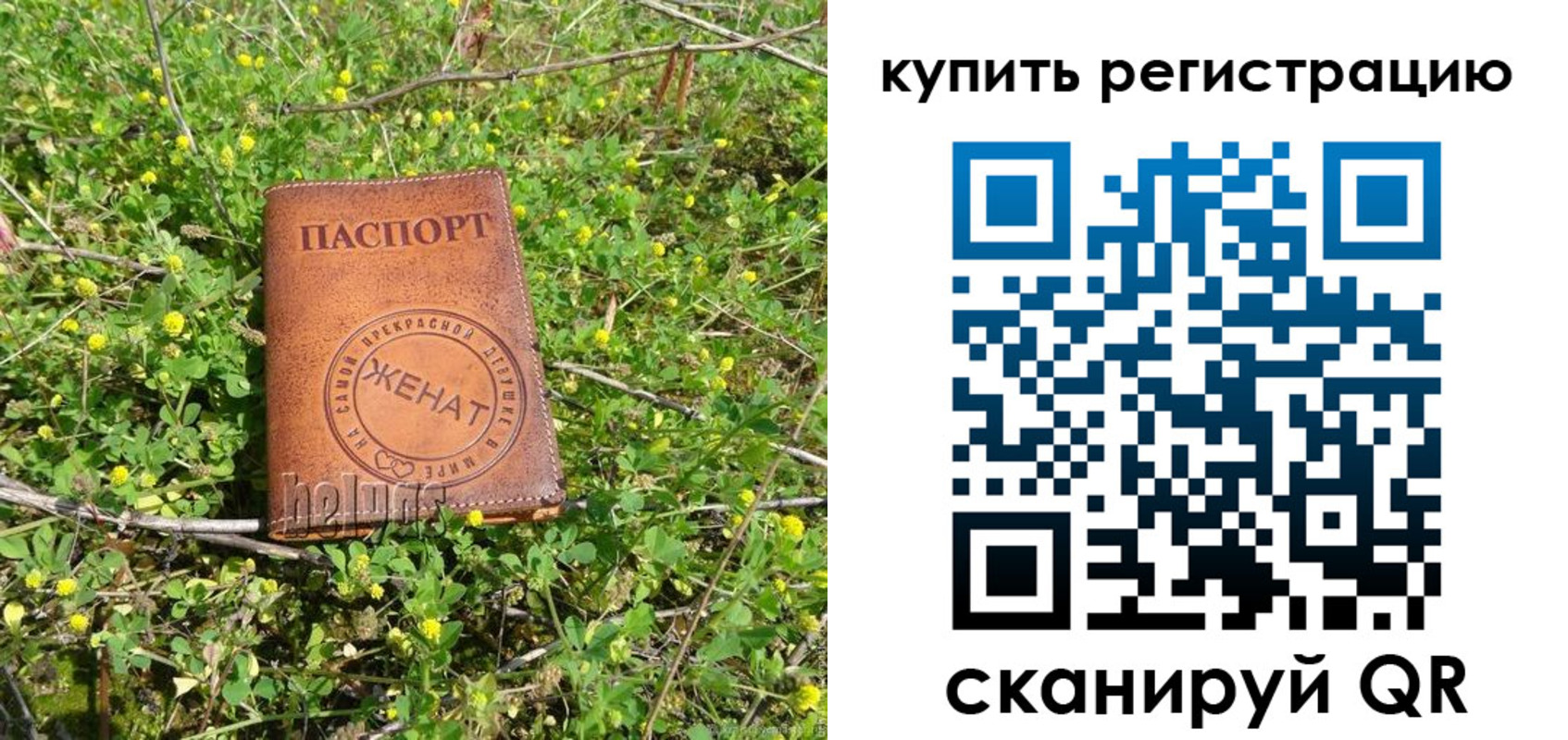 регистрация для дет. сада в Дмитрове